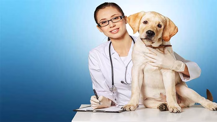 هدایای تبلیغاتی روز دامپزشک