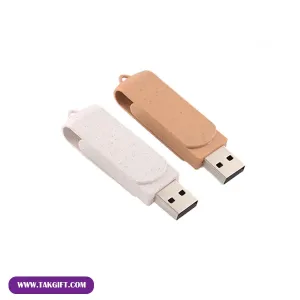 نمای روبه رو از فلش مموری تبلیغاتی d81 در دو رنک کرم و سفید